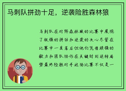 马刺队拼劲十足，逆袭险胜森林狼