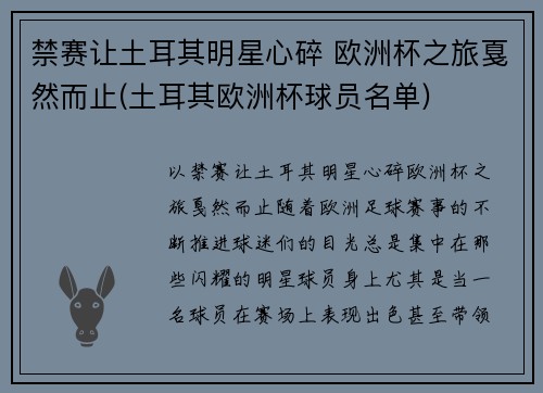 禁赛让土耳其明星心碎 欧洲杯之旅戛然而止(土耳其欧洲杯球员名单)